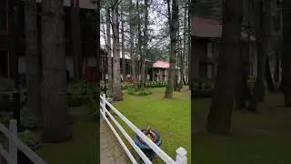 Welcomhotel By ITC Hotels, Pine N Peak, Pahalgam | jammu and kashmir