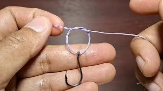 Easy tips for beginner anglers, 4 ways to make strong fishing knots 