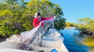 Mass Fish Kill? Cast Netting After the Freeze!!!