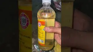 Betta fish live food tamil #kolathur  #trending #bettafish #guppyfish #breeding #chennaifishmarket