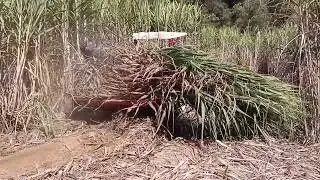Sugar cane harvester tractor attachment cutting machine WA- 8618262494472