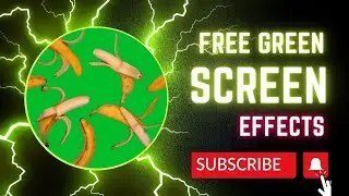 Banana Green Screen Video| Free green screen Effects | green screen