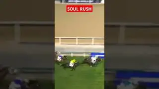 exciting finish and wins by SOUL RUSH at dubai turf #shortvideo #pleasesubscribe #subscribe