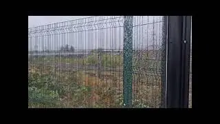 Trains At Willesden Junction - WCML, NLL & Watford DC Line/Bakerloo Line - 29.10.2025