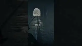 What you find when you go down the literal rabbit hole #reddeadonline #shorts #sad #rabbittrail