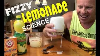 Watch Baking Soda and Lemon Juice React - Amazing Fizz!