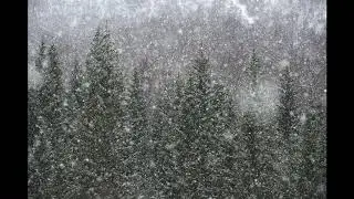 Snowfall Waltz by Kehrminator