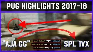 walterP's TBT to playsTV - Swedish Pro League & PUG Highlights: 1vX clutches, flicks, & more!