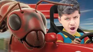 World's Fastest Saharan Silver Ant vs Giant Amazonian Ant: INSANE Race Battle!  