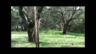 Local Legends Episode 2 Morgan Territory