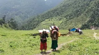 Hard working lifestyle in Nepali Village life ll #itsmehari #nepalivillagelife