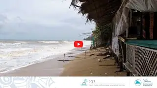 2021 at a glance - Climate Change and Environmental Sustainability