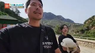 저희 방송 또 나왔어요! SBS 모닝와이드 여기로 떠나볼까 반려견과 떠나는 세계여행 모로코편 애견동반 모로코 여행