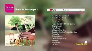 B-088 Chamras Saewataporn [Best Collection 01].....LP Style 12 Tracks