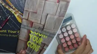2024 June 5 | Count your Coins Budget Book | Daily Budgeting | Cashless Sinking Funds