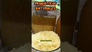 QUIERES APRENDER A HACER KEFIR EN CASA?🇵🇪💪🏻 no dudes en comentar #kefirdeagua #saludintestinal