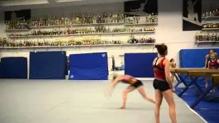 How did Alecia Farina perfect the vault?