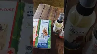 TOPICURE SPRAY FOR DOGS #labradoglovers #dog #feedshorts