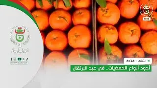 الشلف - فلاحة | أجود أنواع الحمضيات.. في عيد البرتقال