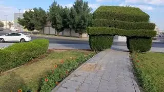 من أجمل الدوارات في المدينة المنورة ومشي في حي بئر عثمان بن عفان رضي الله عنه ، الأزهري