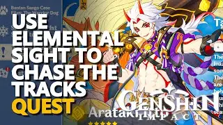 Use elemental sight to chase the tracks Genshin Impact