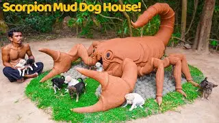 I Built a Scorpion Shaped Dog House from Mud for Rescue Puppies!