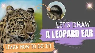 How to Draw a Leopard Ear with Pastel Pencils - Step by Step Tutorial