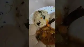 Curd rice morning food