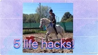 5 Paarden Life hacks!