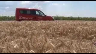 Predsetveno djubrenje psenice, za stabilan i visok prinos, Timac Agro   U nasem ataru 605