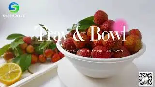 Eco Friendly Bowls 100% Compostable Disposable Biodegradable Sugarcane Bagasse Bowl