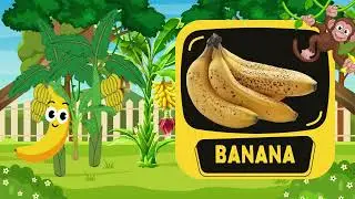 Learn the Fruits and Vegetables | Fun Learning with Emma and Ben | TotoToons