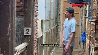Penyebab dan cara mengatasi murai mudah berlemak