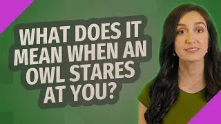 What does it mean when an owl stares at you?