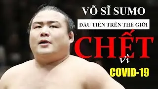 V&otilde; sĩ sumo đầu ti&ecirc;n tr&ecirc;n thế giới qua đời v&igrave; COVID-19 | First Sumo Wrestler Dies of Covid-19