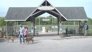 Iowa City Dog Parks