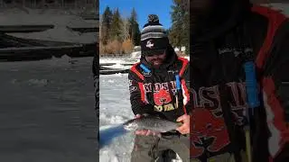 Eric Magnuson with a nice rainbow trout through the ice on Diamond Lake.
