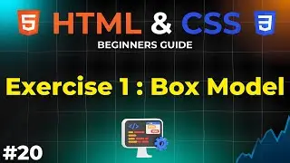 Exercise 1 : CSS Padding, Margin, and Border Practice | HTML and CSS Beginners Guide | IMS Coding