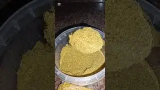 ٣١ ديسمبر ٢٠٢٥