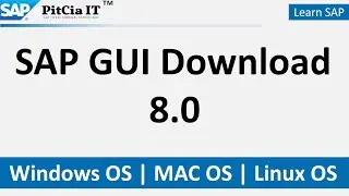 SAP GUI 8.0 Download for Windows MAC Linux JAVA | @PitCiaIT