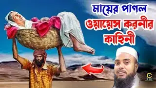 Anamul Haque waz 2025 || Moulana inamulu Haque waz || karimganj waz