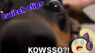 [Twitch Clips] Cwoissant