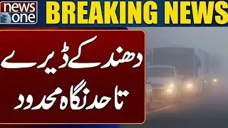 Latest Updates! Lahore Hit by Thick Fog: Limited Visibility | Risk of Accidents | Breaking News
