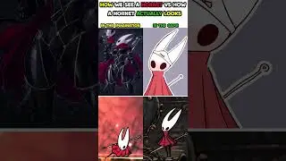 How We See a Hornet vs How a Hornet Actually Looks