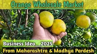 Orange Wholesale Market & Business Idea 2025 | Orange Sale Starting#vickyagro#orangebusiness#viral