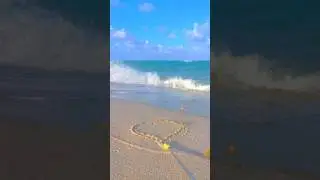 Heart | 639 + 432 Hz, Alpha Waves & Dolphin Song | Tiny Meditation Podcast
