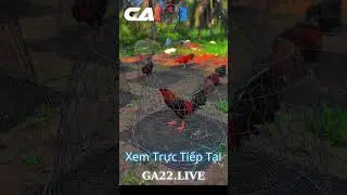 #ga888 #ga888 ga22.live Mời anh em xem video