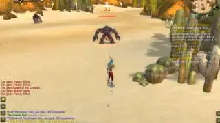 Joana - 49-50 Tanaris World of Warcraft  - Vanilla WoW