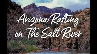 Arizona Rafting on The Salt River | Mild to Wild Rafting & Jeep Tours