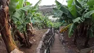 Madeira Teil I    ----   31.12.24  Vorwitzen